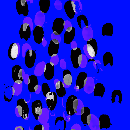 65313840865653522527182281301960830381510461713117611648198117892271569371137