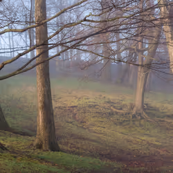 93437413673241477184719516664819130297052764633557001940307578638602017439745