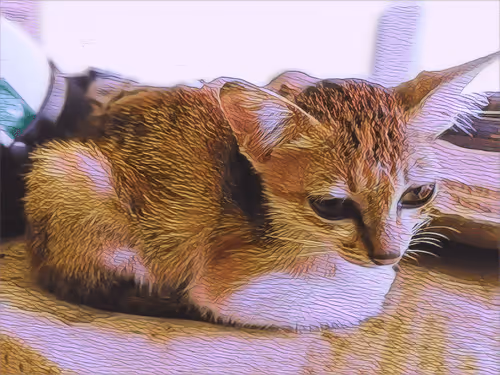 Item #74122138759525378795667626270866148487737655975912799548892275368840799453185 Media