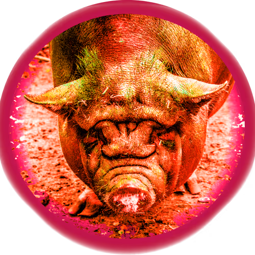 Item #107530905304618675302548739526775943268479217550682915829596196244908499009541 Media