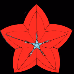 Happiness Stars#14