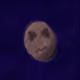 36116284641722032886840472375048237739444630116671735772120976257679294988289