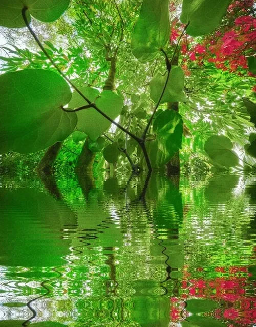 Item #33273431064062745158281459223994481396408298461003960329838769749206625157125 Media