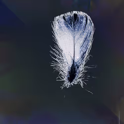 72932321608233697749117711298000337470595698923978217717692158282440338571265