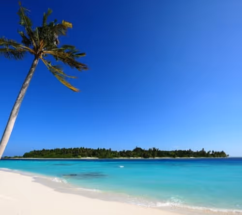 Item #22860299117330777666389838977432805077758548914760126026204472950904485576705 Media