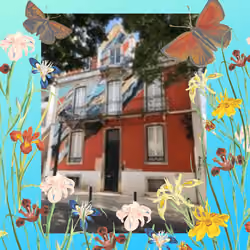 Painted Street Houses