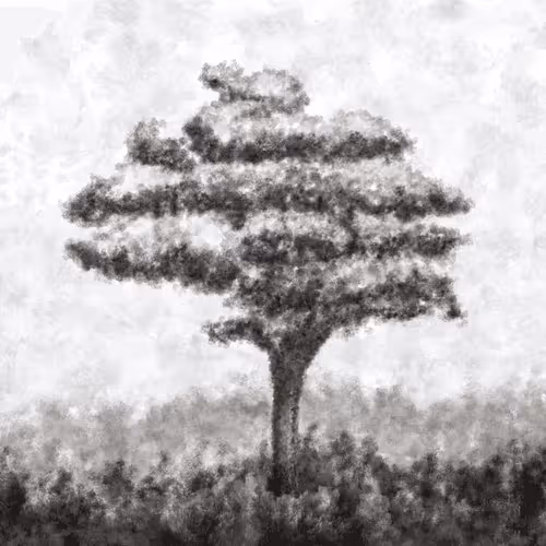 74277105166926401675648590500167077095239870897579205430653654845078789685249