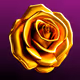 Golden Rose