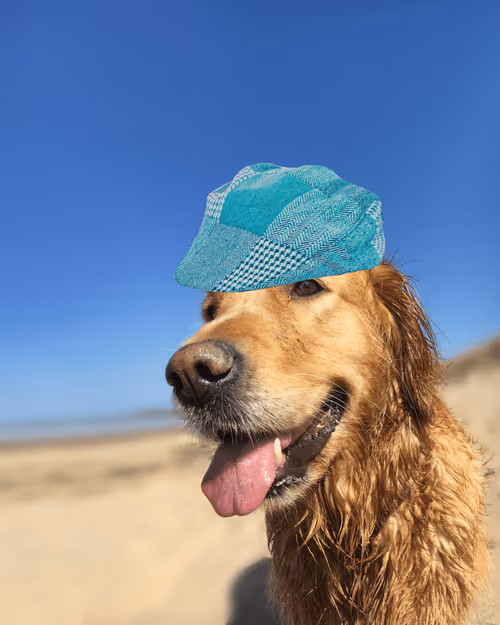 Item #26839399415497039076862880694069072006331525189107682525417321769791435833345 Media