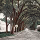 Saint Augustine Street Landscape