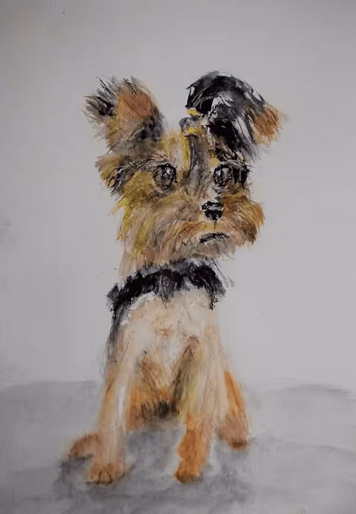 Item #53661683660994396488981893260373811515315705590489664499670501594819649963680 Media