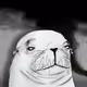 34081784564047635551722724989409215646461705056159957415874020623692781846529