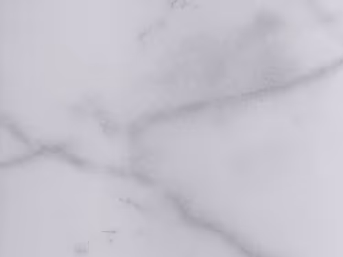 Item #4017430978311960055360420912292118390546952225668407761342997470218500964353 Media