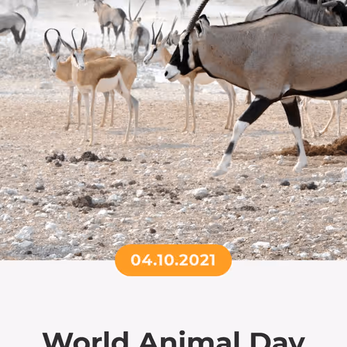 84967509520196306123188380026293221301468344843151761076076916728862116675585