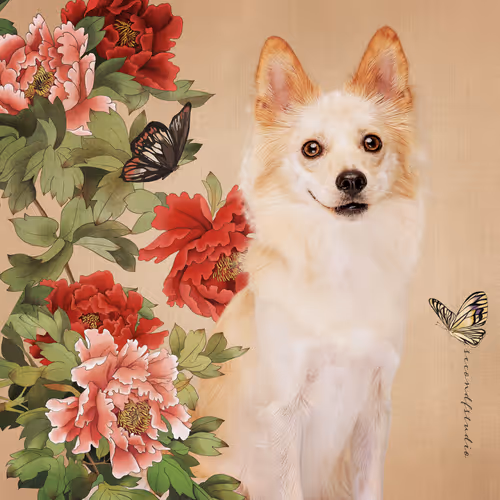 Item #8036610274517614856282005705215780499318604713549687172679363551151507111939 Media