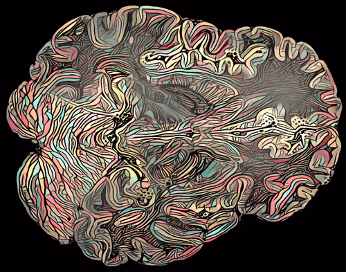 Item #41797469363834440502181864758100633672867482759361067528328297301460140425217 Media