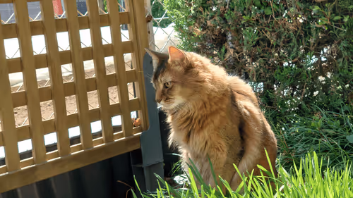 Item #88680272721371285934501562988049178859599418492822572919113237406985542959105 Media