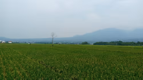 Item #68356916031059924921230192194445693761239192572255149021970435641606670385153 Media