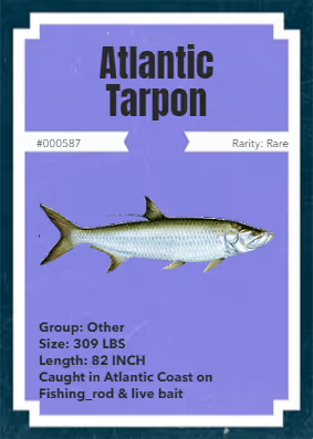 Item #43502264269384842523243150070095810631836830099831581701628992117587688030209 Media