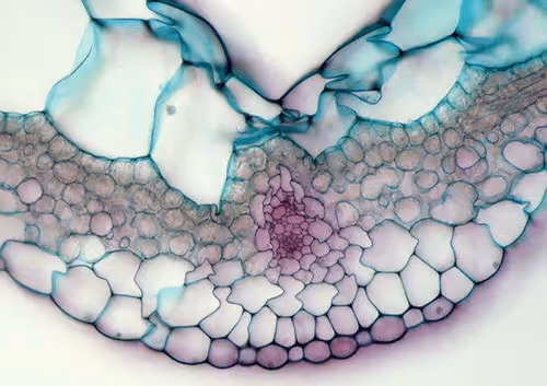 Item #94269245491509990734465210167466884321016156327322156678976395971299551215626 Media