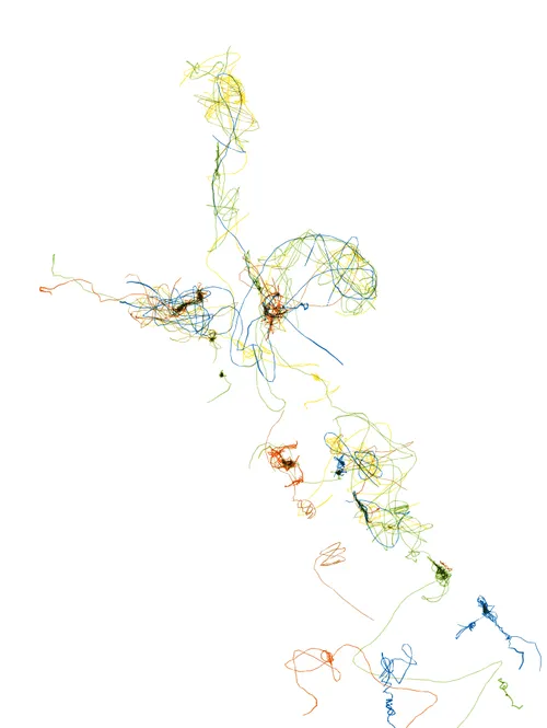 Item #61325321852403075905478544962925694605424995420085629148883383661028947525652 Media