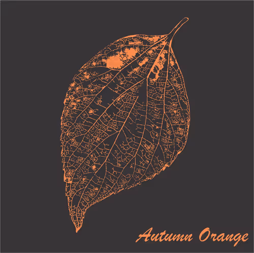 Item #40167138637940562108431742001123872206105593199433866487640627803281952866305 Media