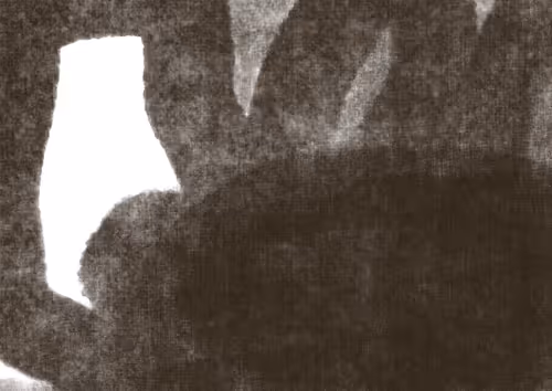 Item #16808852661278506792455587174628036526611769218420169512753900696092597551105 Media