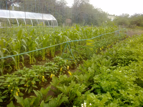 Item #41983459946325006344850038724007157971914249844141491949312562883523766124545 Media