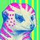 75504568957216009271532412225991883014141589967078103544589205164860725264385