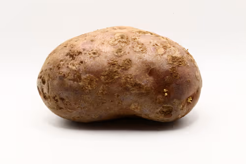 Item #97726151104522163495278545296769301934737660224123995419035737059717812322305 Media