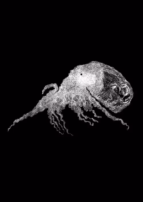 Item #48216677678887992956199146050101977369740452437452834237877791478381795082241 Media