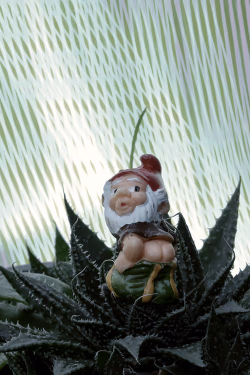 Item #74202252938390004616604948620215209941710540159636639522178368027100402679809 Media