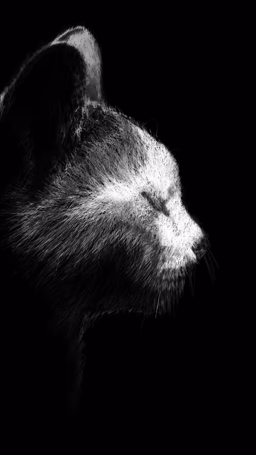 Item #20286817641922993541065929101952433978531825078991625494647867581103240904705 Media