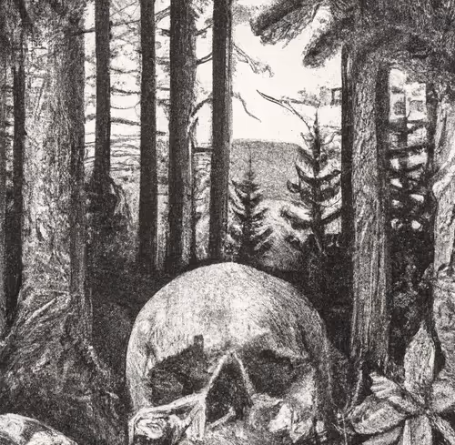 Item #54458992296567811908007104451167799420239702319712691159319554532283827355649 Media