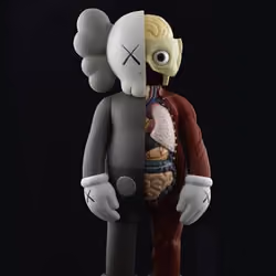 KAWS #5 Please buy me and feed many children with your purchase