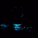 76761017727758795390074172616992120264208582840405240549035125962911321686017