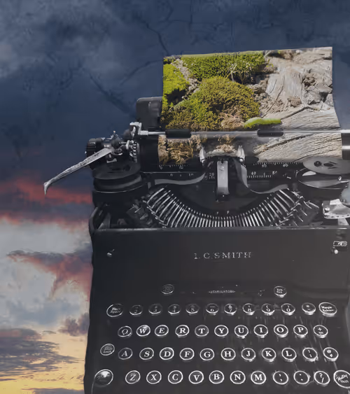 Item #111652930109264043611935341067736255756439208084570795366540966559962003144705 Media