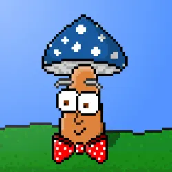 33741781216748986518517832568595493503429706584982134247768926030501978832897