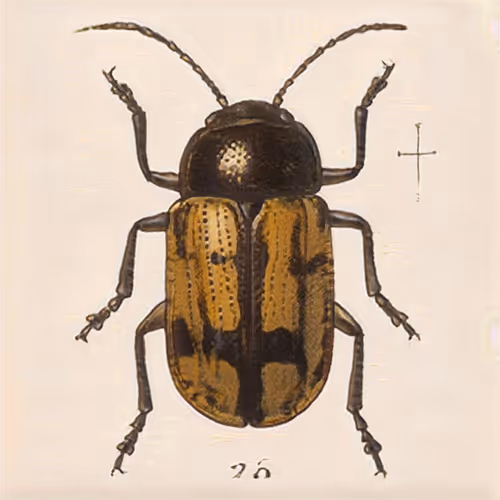 Item #58241160855422744817468407088196322100109565521561100950236904219877111234561 Media