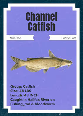 Item #43502264269384842523243150070095810631836830099831581701628992089000385708033 Media