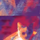 113273605082467307494600783007872390705891561495269282706082331048612554866689