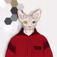 86643575542663916682409649052192093054898168628750726455431345852684869566465