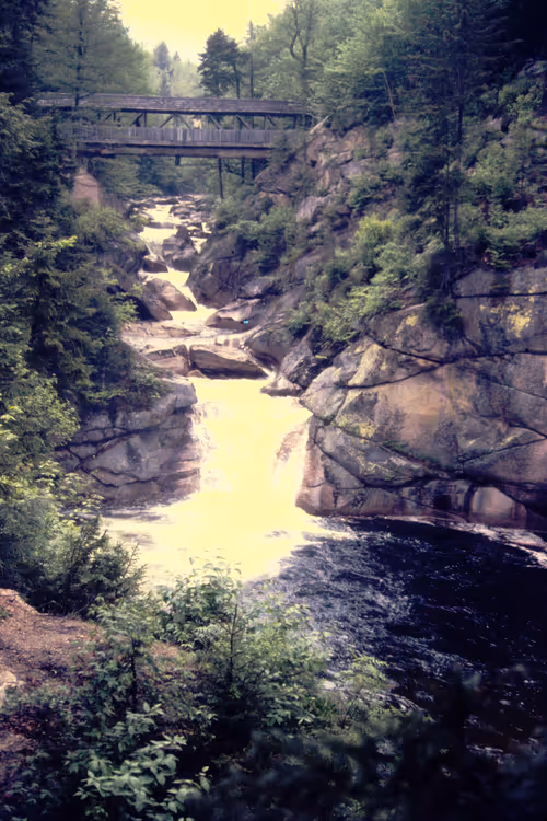 Item #113047771030127017240919341709485116586684509374101894410877815024993089617921 Media