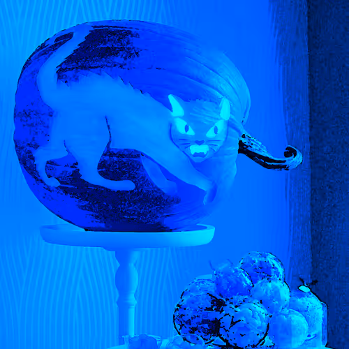 15081463501546268006596121588316872326209313817998412847676536832354410299393