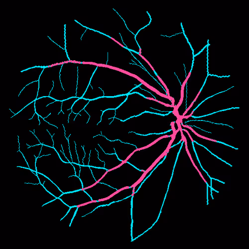 Item #7078802064077755305879053961196844759257248211509687953083586160677739298817 Media