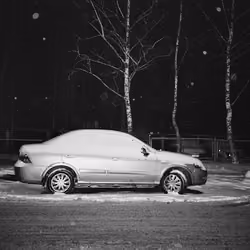UNDER COVER OF NIGHT