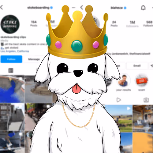 Item #92121813053644599500874109618330987001497207621308139683147191334527244959745 Media