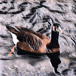 Geese Nft
