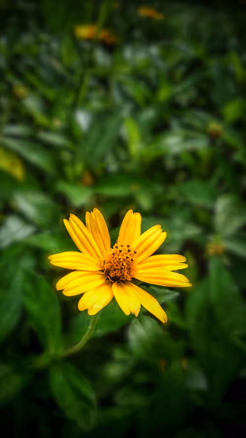 Item #96373460507912281939903112807065392587728079623754575039603803258562457632769 Media