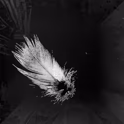 72932321608233697749117711298000337470595698923978217717692158242857919971329